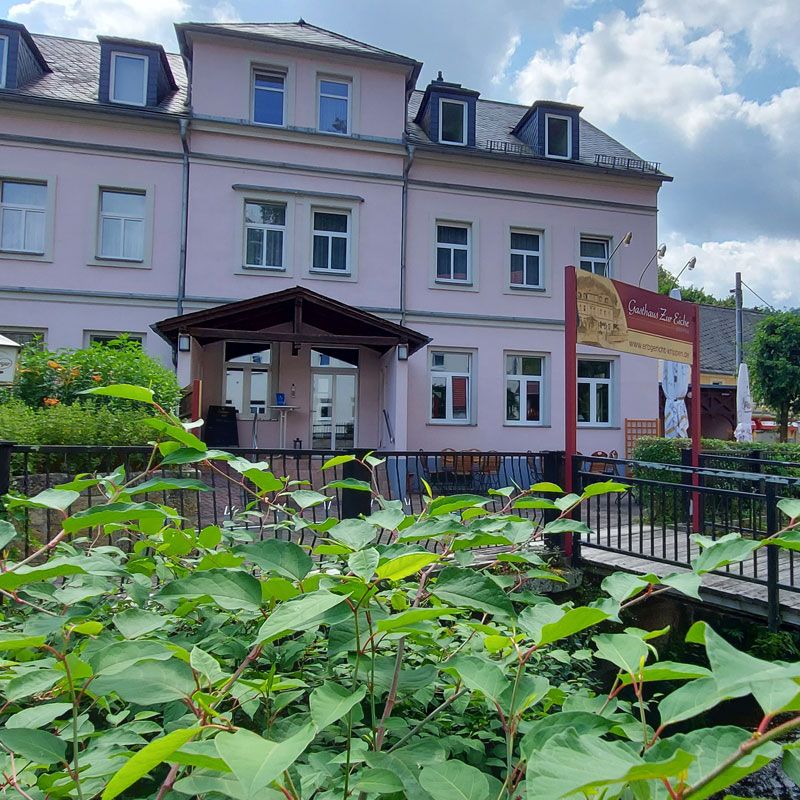 Gasthaus & Pension "Zur Eiche" in Bad Schandau / OT Krippen - Frontansicht mit Eingangsbereich